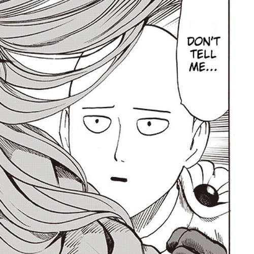 One Punch Man Manga Chapter 116 (Playtime) cover