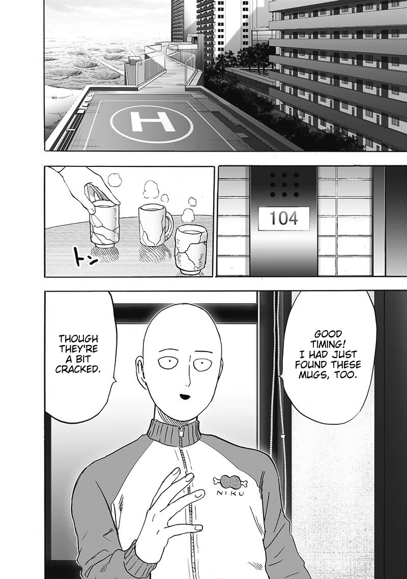 One Punch Man Manga Chapter 174 page 19 - Beauty