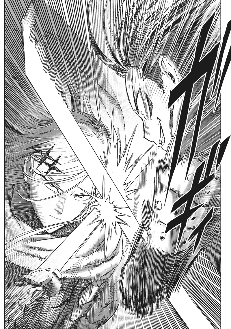 One Punch Man Manga Chapter 198 page 8 - The Way You Are Now