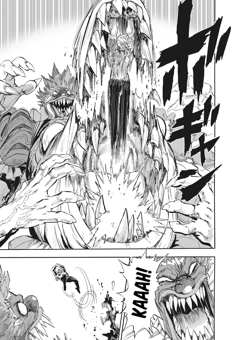 One Punch Man Manga Chapter 217 page 12 - A Stone