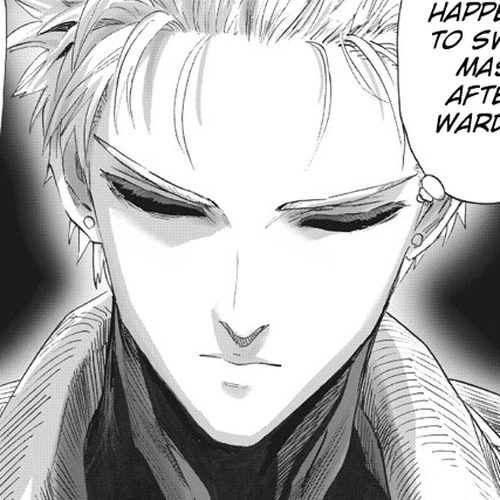 One Punch Man Manga Chapter 221 (Emerging Power) cover