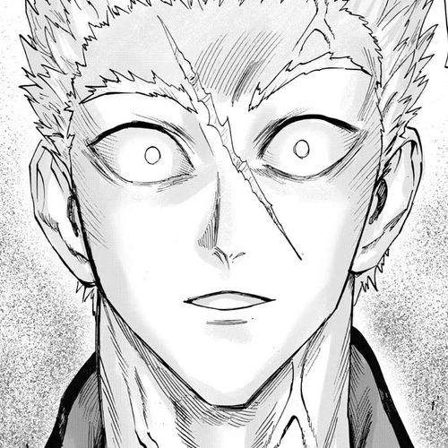 One Punch Man Manga Chapter 234 (Guardianship) cover