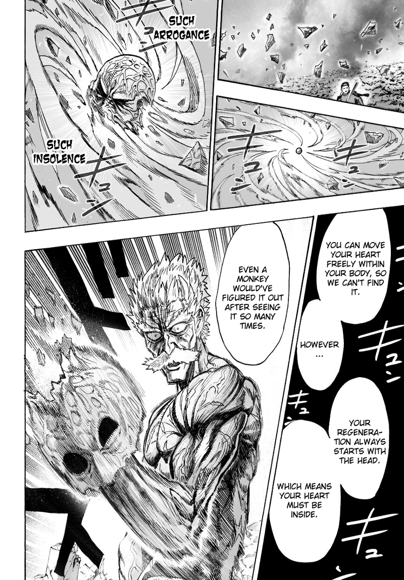 One Punch Man Manga Chapter 35 page 17 - The Fight
