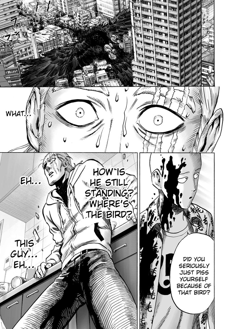 One Punch Man Manga Chapter 39 page 12 - That Person